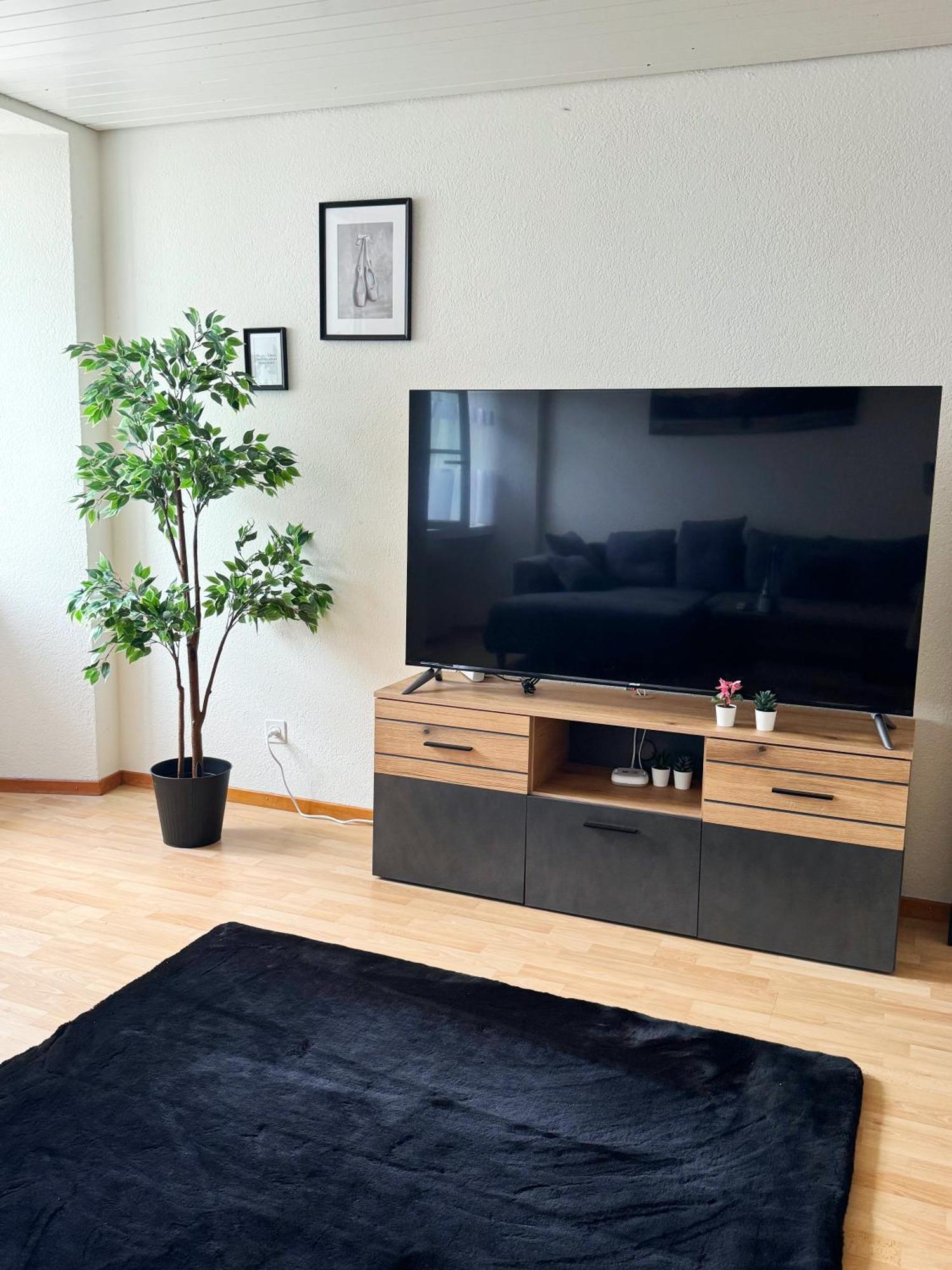 Tas24Ch Travel And Sleep 24 Apartment Санкт Гален Екстериор снимка